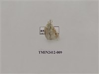 藏品(白麗刺蛾)的圖片